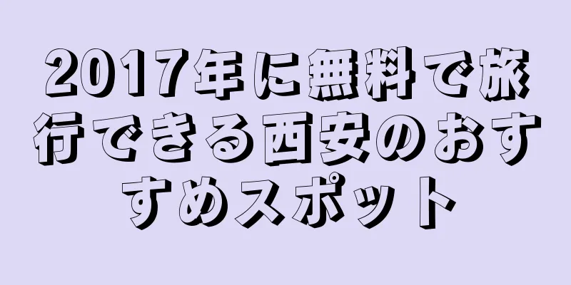 2017年に無料で旅行できる西安のおすすめスポット