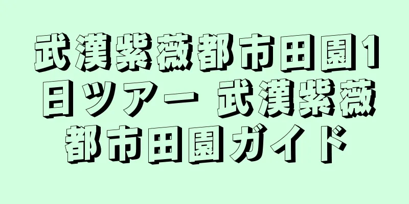 武漢紫薇都市田園1日ツアー 武漢紫薇都市田園ガイド