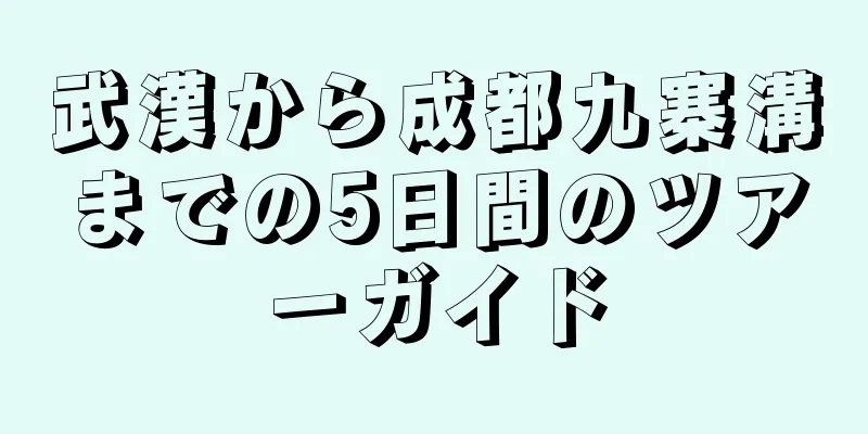 武漢から成都九寨溝までの5日間のツアーガイド