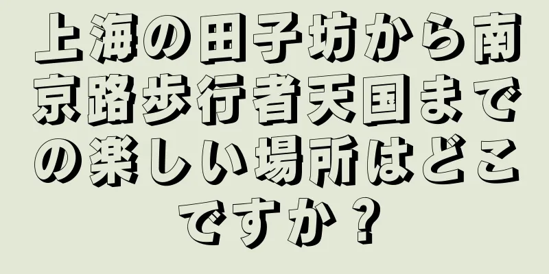 上海の田子坊から南京路歩行者天国までの楽しい場所はどこですか？