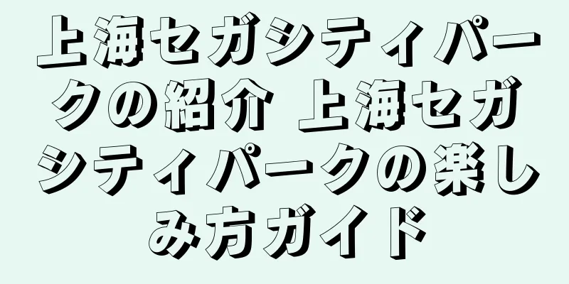 上海セガシティパークの紹介 上海セガシティパークの楽しみ方ガイド