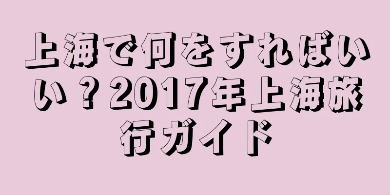 上海で何をすればいい？2017年上海旅行ガイド