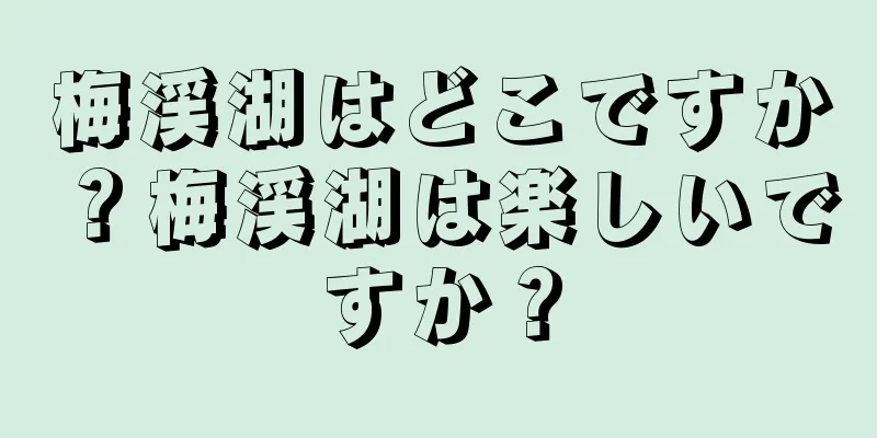 梅渓湖はどこですか？梅渓湖は楽しいですか？