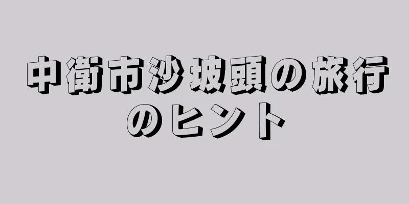 中衛市沙坡頭の旅行のヒント