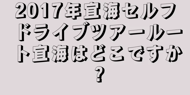 2017年宜海セルフドライブツアールート宜海はどこですか？