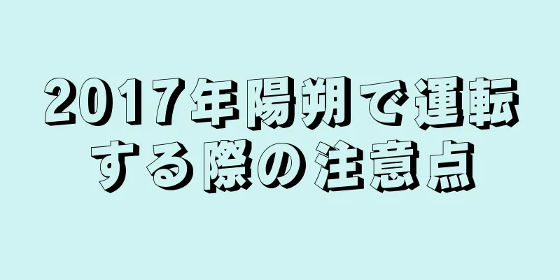 2017年陽朔で運転する際の注意点