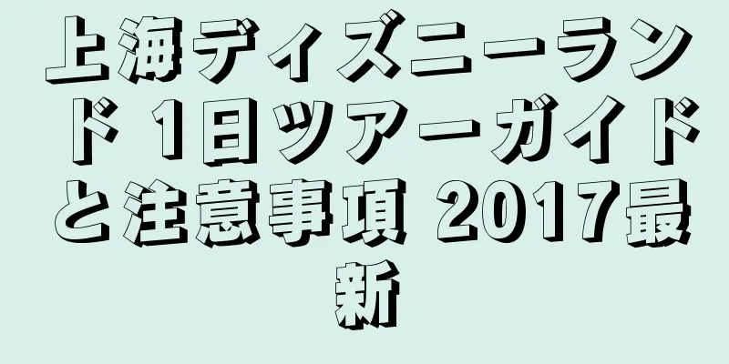 上海ディズニーランド 1日ツアーガイドと注意事項 2017最新