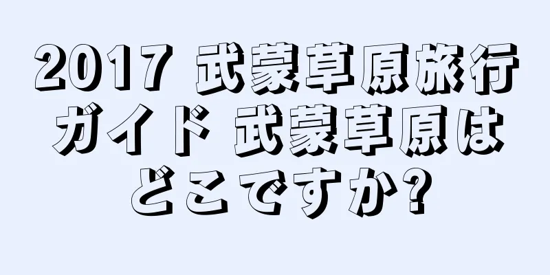 2017 武蒙草原旅行ガイド 武蒙草原はどこですか?