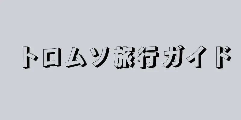 トロムソ旅行ガイド