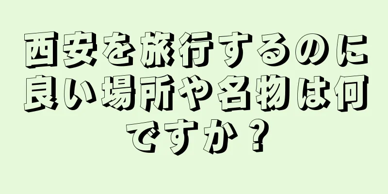 西安を旅行するのに良い場所や名物は何ですか？
