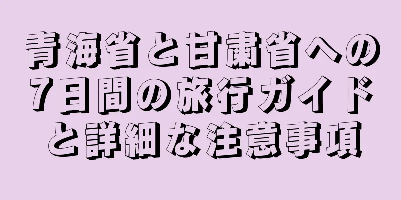青海省と甘粛省への7日間の旅行ガイドと詳細な注意事項
