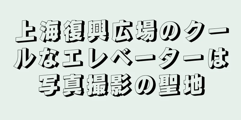 上海復興広場のクールなエレベーターは写真撮影の聖地