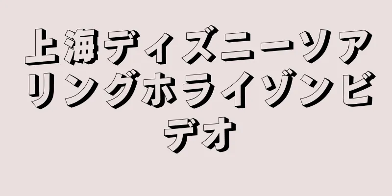 上海ディズニーソアリングホライゾンビデオ