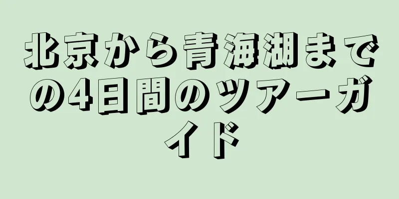 北京から青海湖までの4日間のツアーガイド