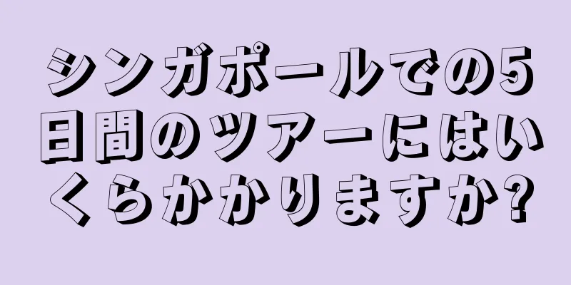 シンガポールでの5日間のツアーにはいくらかかりますか?