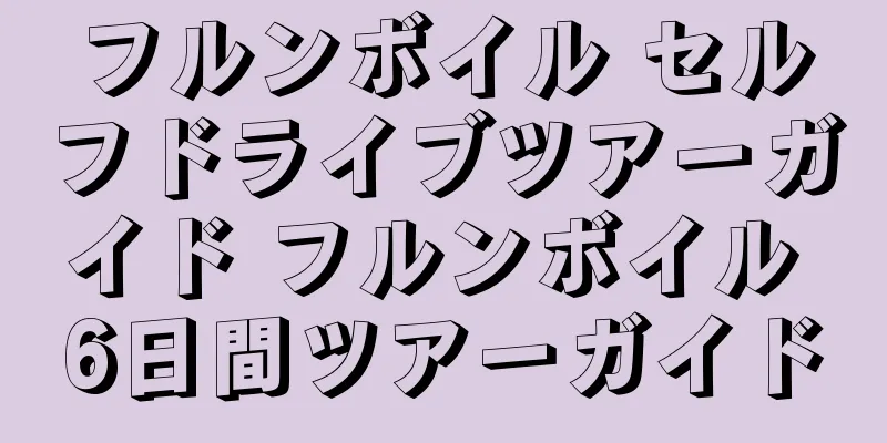 フルンボイル セルフドライブツアーガイド フルンボイル 6日間ツアーガイド