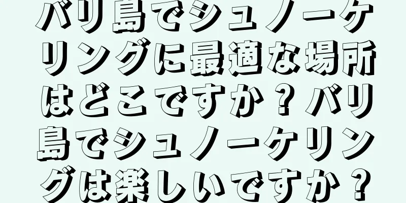 バリ島でシュノーケリングに最適な場所はどこですか？バリ島でシュノーケリングは楽しいですか？