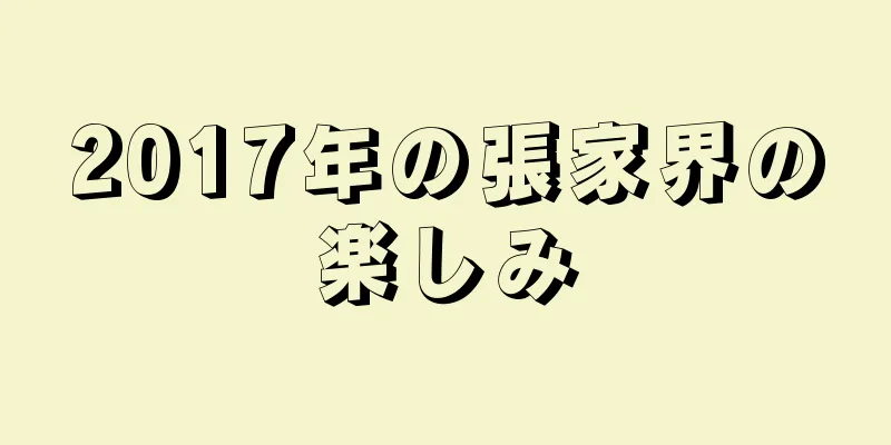 2017年の張家界の楽しみ