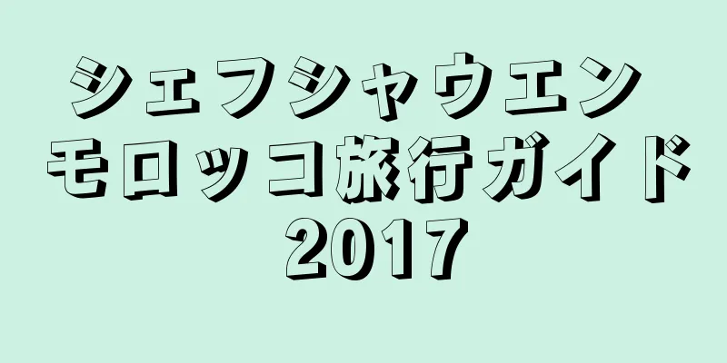 シェフシャウエン モロッコ旅行ガイド 2017