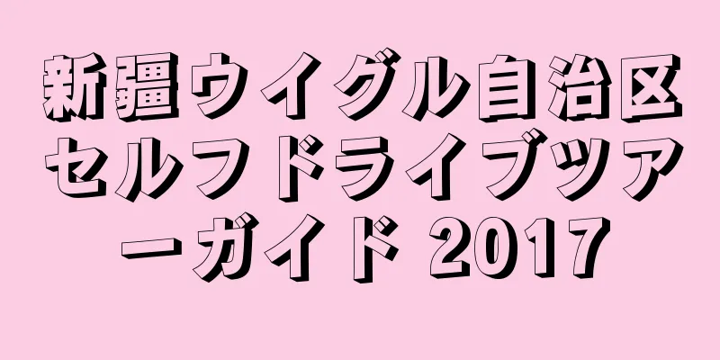 新疆ウイグル自治区セルフドライブツアーガイド 2017