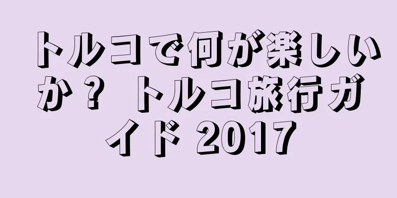 トルコで何が楽しいか？ トルコ旅行ガイド 2017