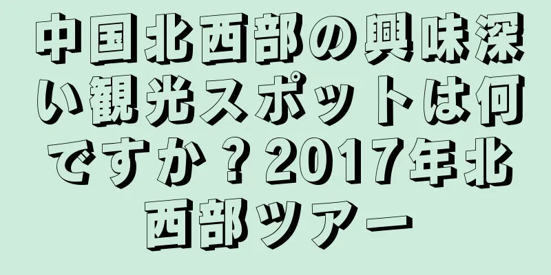 中国北西部の興味深い観光スポットは何ですか？2017年北西部ツアー