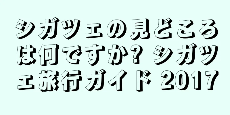 シガツェの見どころは何ですか? シガツェ旅行ガイド 2017