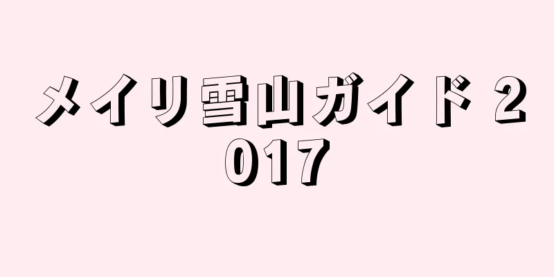 メイリ雪山ガイド 2017