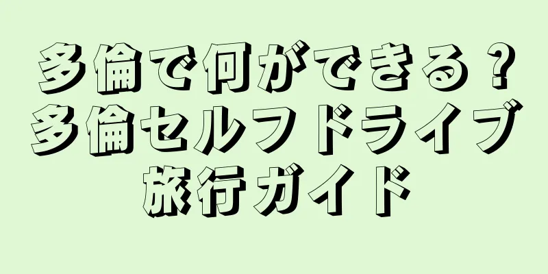 多倫で何ができる？多倫セルフドライブ旅行ガイド