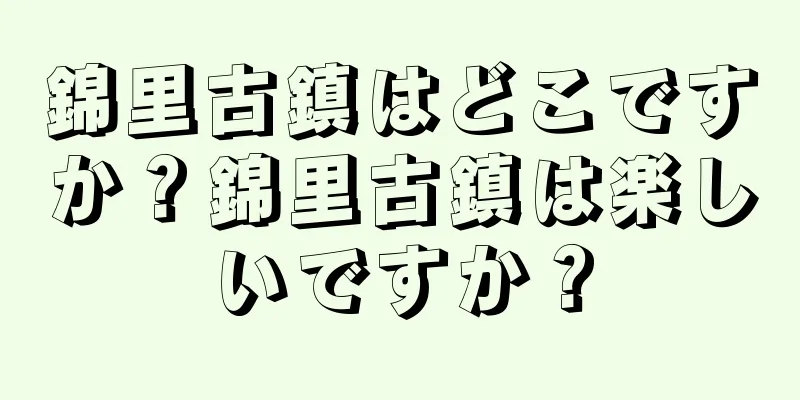 錦里古鎮はどこですか？錦里古鎮は楽しいですか？