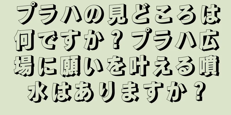 プラハの見どころは何ですか？プラハ広場に願いを叶える噴水はありますか？