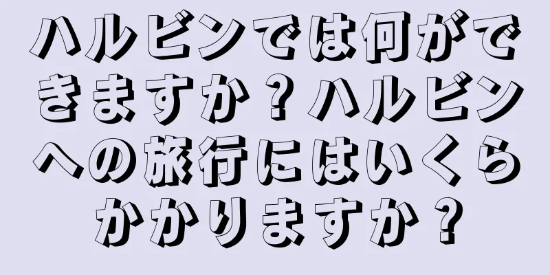 ハルビンでは何ができますか？ハルビンへの旅行にはいくらかかりますか？