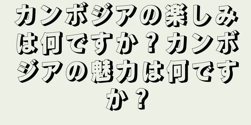 カンボジアの楽しみは何ですか？カンボジアの魅力は何ですか？