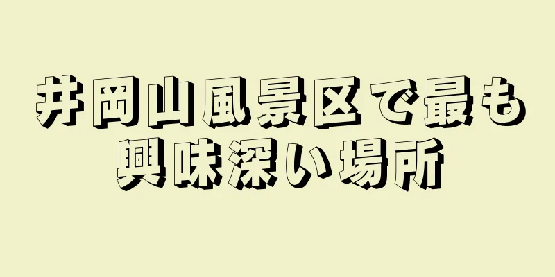 井岡山風景区で最も興味深い場所