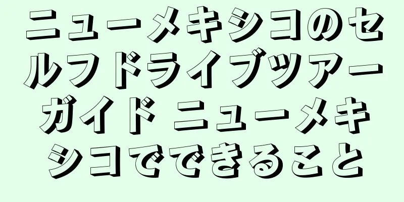 ニューメキシコのセルフドライブツアーガイド ニューメキシコでできること
