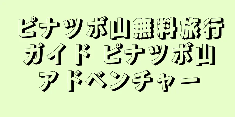 ピナツボ山無料旅行ガイド ピナツボ山アドベンチャー
