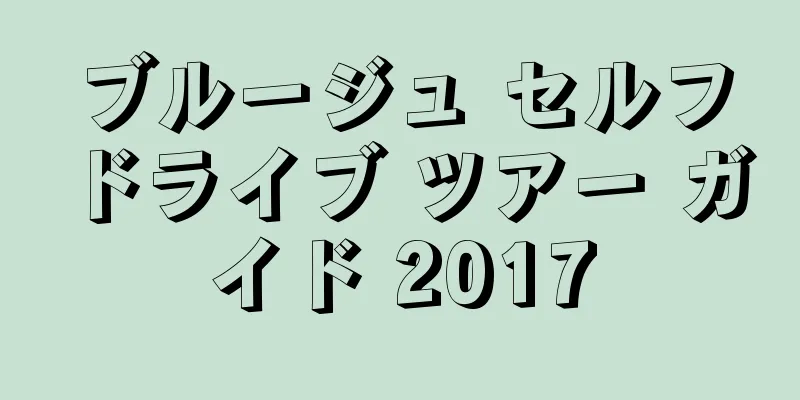 ブルージュ セルフドライブ ツアー ガイド 2017