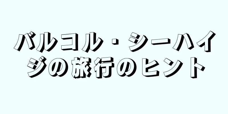 バルコル・シーハイジの旅行のヒント