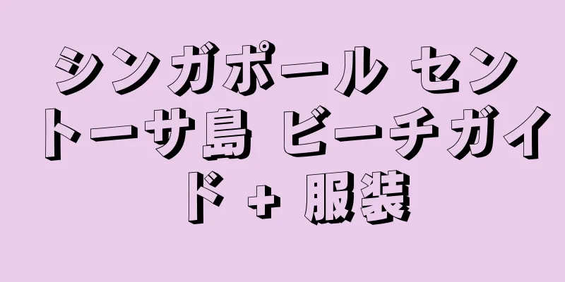 シンガポール セントーサ島 ビーチガイド + 服装