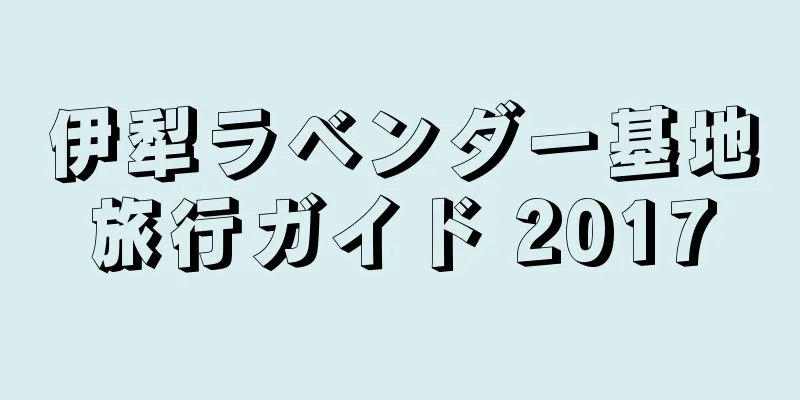 伊犁ラベンダー基地旅行ガイド 2017