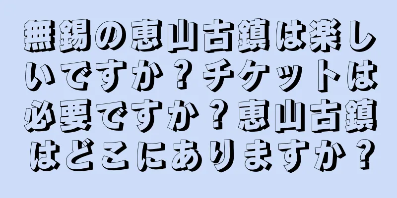 無錫の恵山古鎮は楽しいですか？チケットは必要ですか？恵山古鎮はどこにありますか？