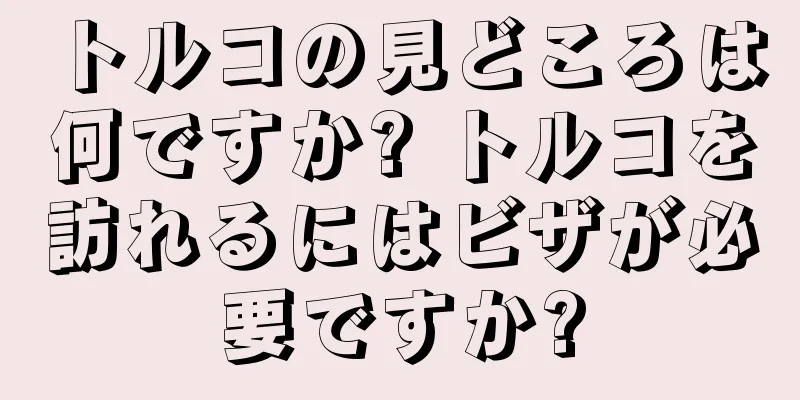 トルコの見どころは何ですか? トルコを訪れるにはビザが必要ですか?