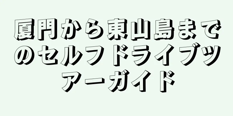 厦門から東山島までのセルフドライブツアーガイド