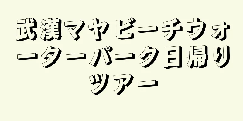 武漢マヤビーチウォーターパーク日帰りツアー