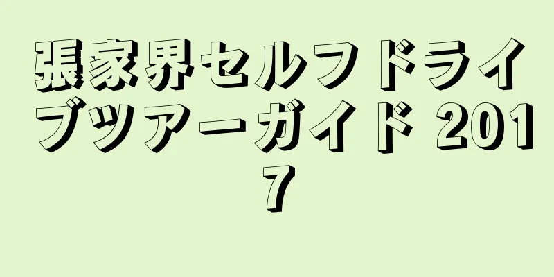 張家界セルフドライブツアーガイド 2017