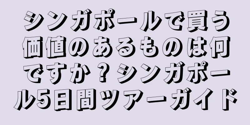 シンガポールで買う価値のあるものは何ですか？シンガポール5日間ツアーガイド
