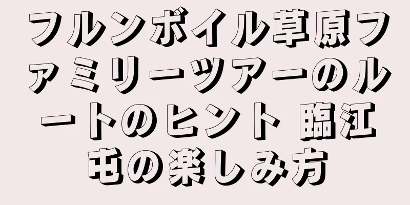 フルンボイル草原ファミリーツアーのルートのヒント 臨江屯の楽しみ方
