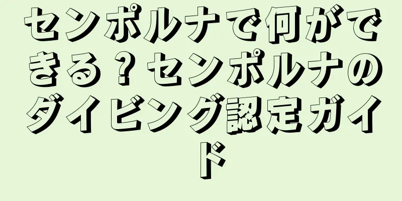 センポルナで何ができる？センポルナのダイビング認定ガイド