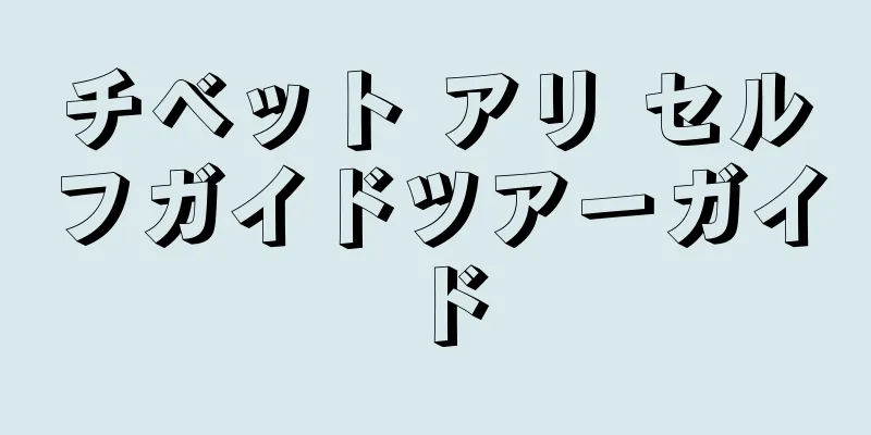 チベット アリ セルフガイドツアーガイド