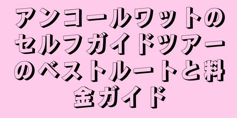 アンコールワットのセルフガイドツアーのベストルートと料金ガイド